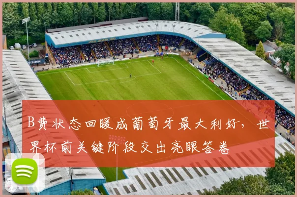 B费状态回暖成葡萄牙最大利好，世界杯前关键阶段交出亮眼答卷
