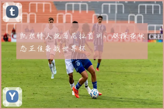 凯尔特人抵马尼拉首训，双探花状态正佳备战世界杯